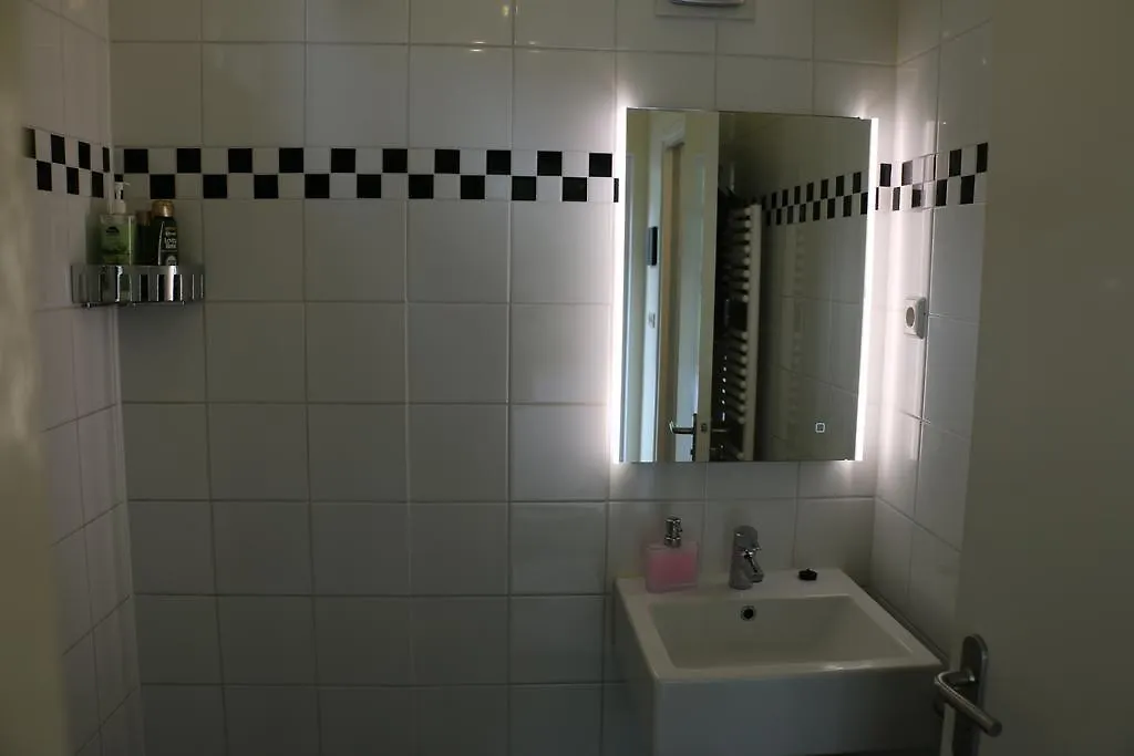 ספינת מלון אמסטרדם B&B The Red House
